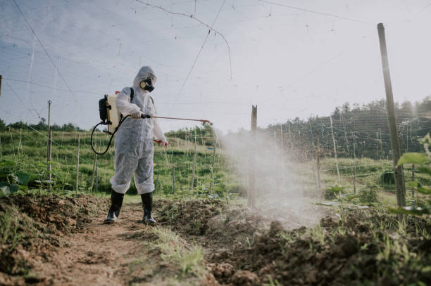 Pest Control Cost in Encinal, TX