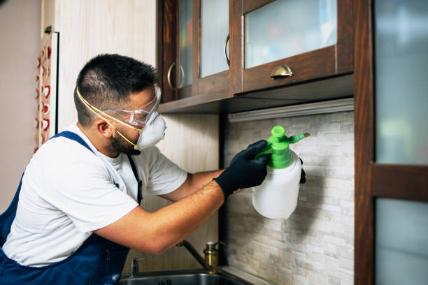 Best Pest Control Cost  in Encinal, TX
