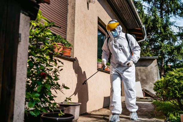 Best Affordable Pest Control Services  in Encinal, TX