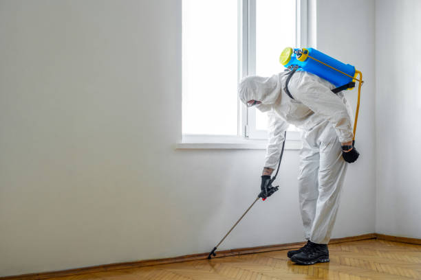Best Affordable Pest Control Services  in Encinal, TX