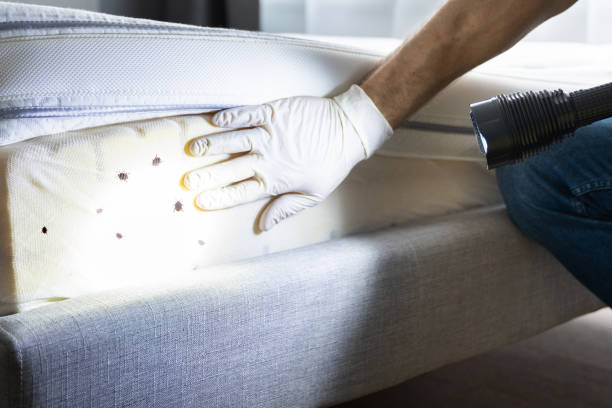 Pest Control for Restaurants in Encinal, TX