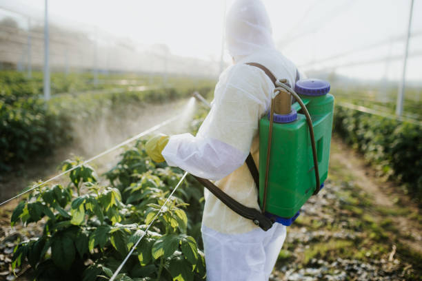 Best Local Pest Control Services  in Encinal, TX